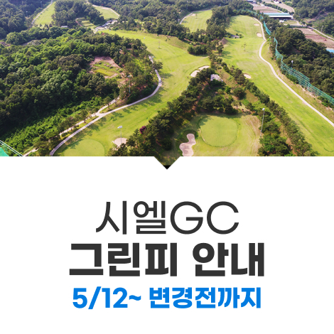 5/12~변경전까지 그린피 