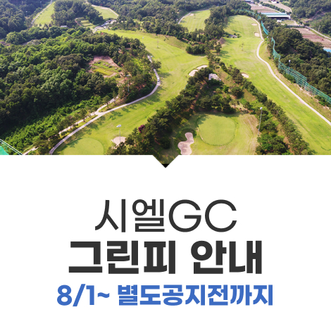 8월 그린피